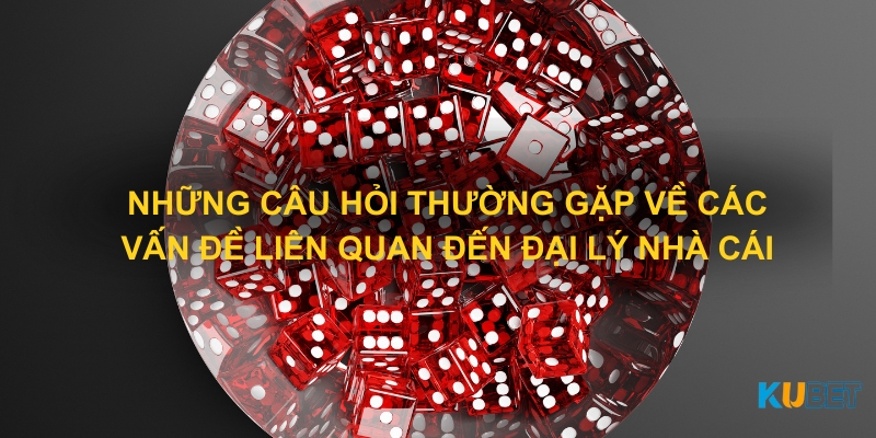 Những câu hỏi thường gặp về các vấn đề liên quan đến đại lý nhà cái