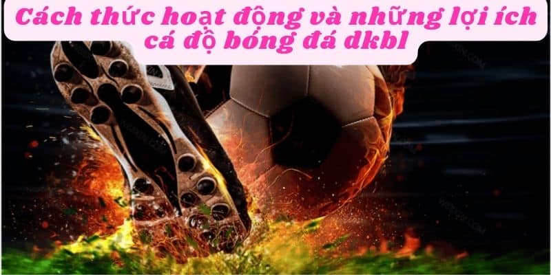 Cách thức hoạt động của cá độ bóng dkbl