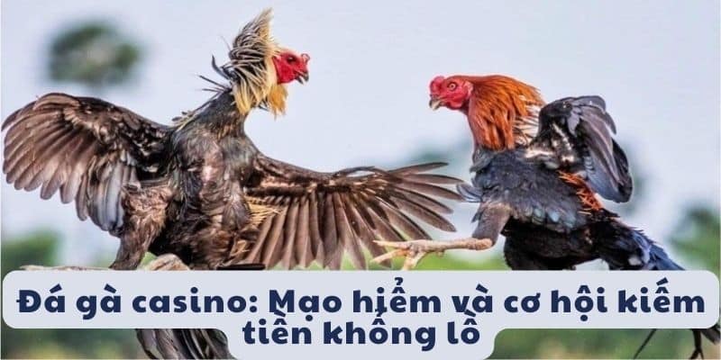 Hiểu rõ về đá gà casino để chơi