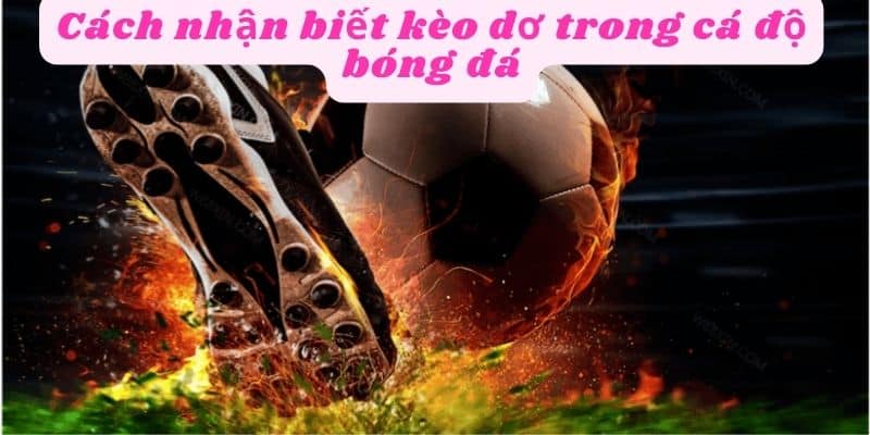 Tỷ lược của kèo dơ thường rất hấp dẫn