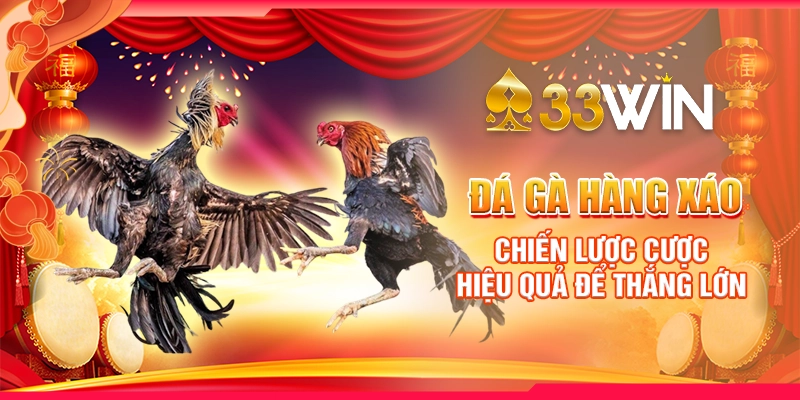 đá gà hàng xáo